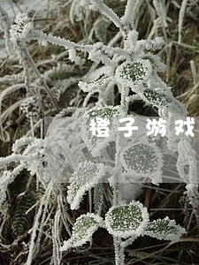橙子游戏逾期利率 橙子游戏逾期利率