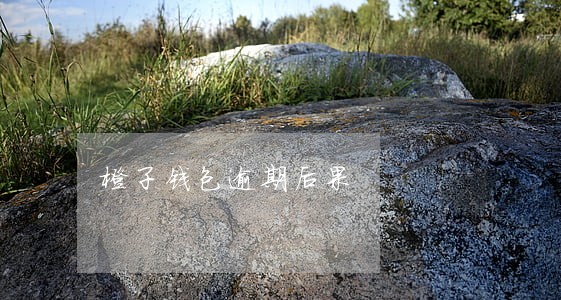 橙子钱包逾期后果 橙子钱包逾期后果