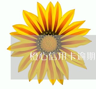 橙心信用卡逾期一天怎么处理 橙心信用卡逾期一天怎么处理