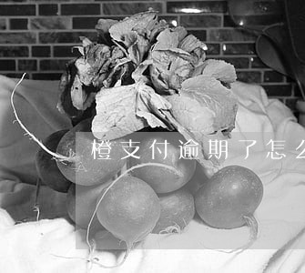 橙支付逾期了怎么还 橙支付逾期了怎么还