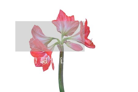 橙甜借钱逾期几天打电话 橙甜借钱逾期几天打电话