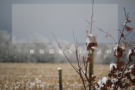 橡胶辊放车上违法吗 橡胶辊放车上违法吗