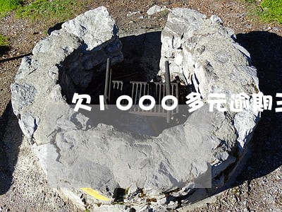 欠1000多元逾期三年 欠1000多元逾期三年