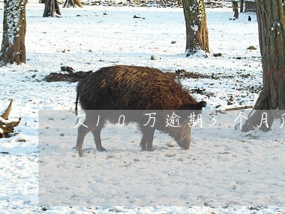 欠10万逾期3个月后果