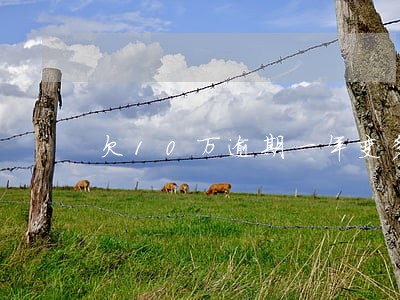 欠10万逾期一年变多少 欠10万逾期一年变多少