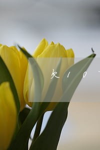 欠10万逾期了一个月利息多少 欠10万逾期了一个月利息多少