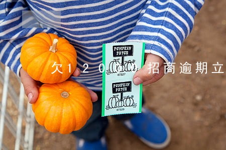 欠12000招商逾期立案