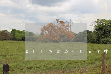 欠17万逾期48天律师函 欠17万逾期48天律师函