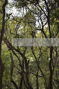 欠19万逾期四个月怎么办 欠19万逾期四个月怎么办