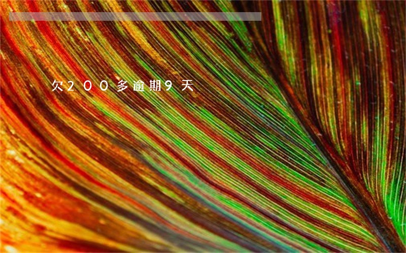 欠200多逾期9天 欠200多逾期9天
