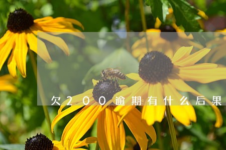欠200逾期有什么后果 欠200逾期有什么后果