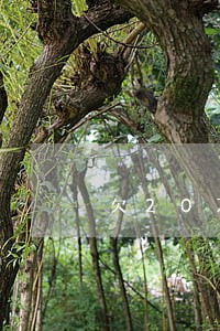 欠20万逾期利息 欠20万逾期利息