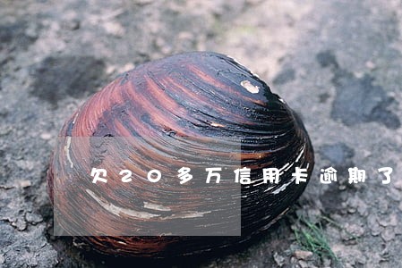 欠20多万信用卡逾期了 欠20多万信用卡逾期了