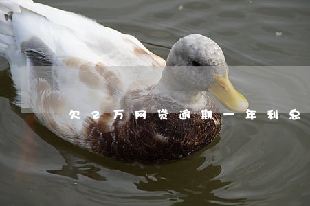 欠2万网贷逾期一年利息