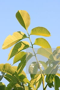 欠2万逾期3年 欠2万逾期3年