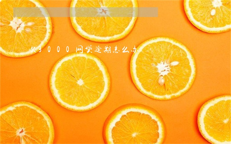 欠3000网贷逾期怎么办 欠3000网贷逾期怎么办