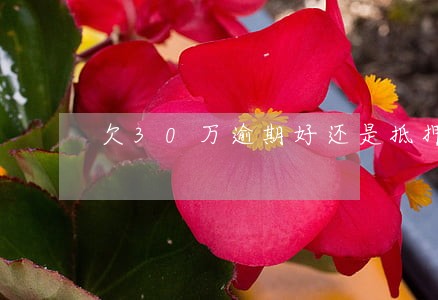 欠30万逾期好还是抵押房子 欠30万逾期好还是抵押房子