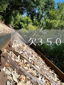 欠35000金条逾期会坐牢吗 欠35000金条逾期会坐牢吗