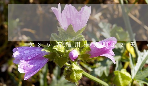 欠35万信用卡逾期32天 欠35万信用卡逾期32天