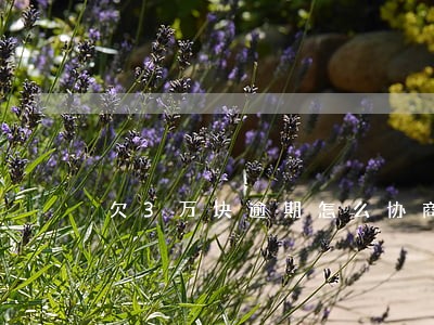 欠3万块逾期怎么协商还款 欠3万块逾期怎么协商还款