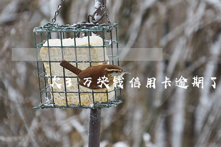 欠3万块钱信用卡逾期了怎么办 欠3万块钱信用卡逾期了怎么办