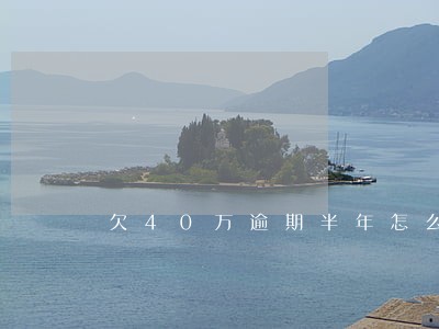 欠40万逾期半年怎么办