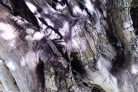 欠4万平安贷逾期 欠4万平安贷逾期