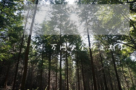 欠4万网贷全部逾期了 欠4万网贷全部逾期了