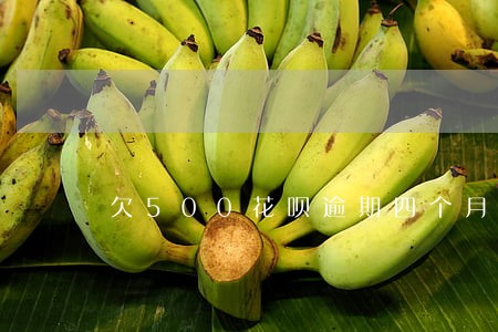 欠500花呗逾期四个月严重吗