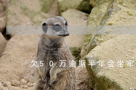 欠50万逾期半年会坐牢吗 欠50万逾期半年会坐牢吗
