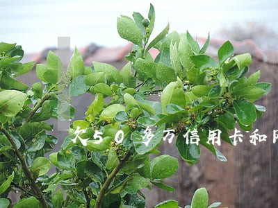 欠50多万信用卡和网贷逾期 欠50多万信用卡和网贷逾期