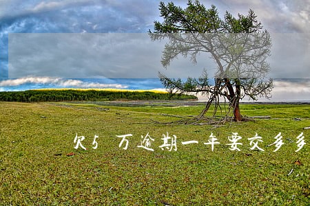 欠5万逾期一年要交多多少钱 欠5万逾期一年要交多多少钱