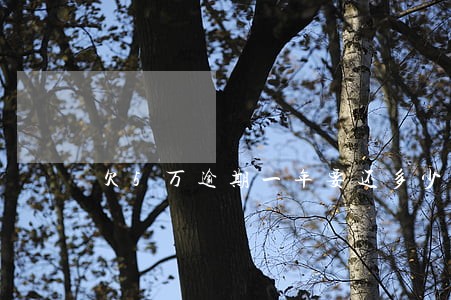 欠5万逾期一年要还多少钱 欠5万逾期一年要还多少钱