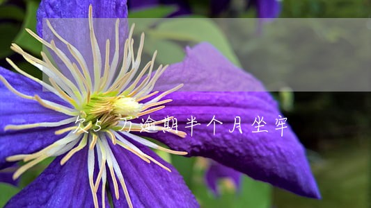 欠5万逾期半个月坐牢 欠5万逾期半个月坐牢