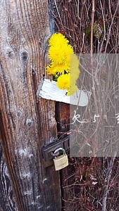 欠5张信用卡逾期 欠5张信用卡逾期
