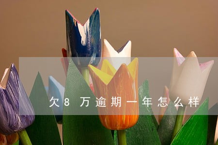 欠8万逾期一年怎么样 欠8万逾期一年怎么样