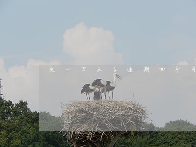 欠一万三千逾期四个月还不出来 欠一万三千逾期四个月还不出来