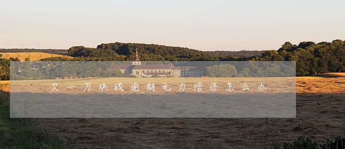 欠一万块钱逾期无力偿还怎么办 欠一万块钱逾期无力偿还怎么办