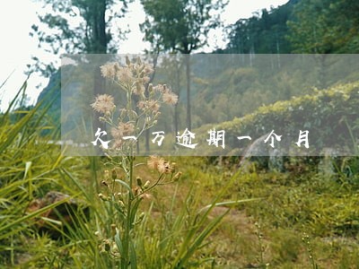 欠一万逾期一个月 欠一万逾期一个月