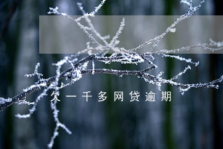 欠一千多网贷逾期 欠一千多网贷逾期