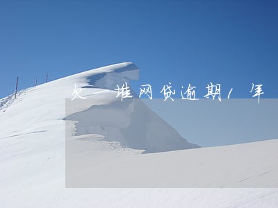 欠一堆网贷逾期1年 欠一堆网贷逾期1年
