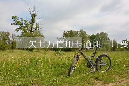 欠七万信用卡逾期一月要还多少钱