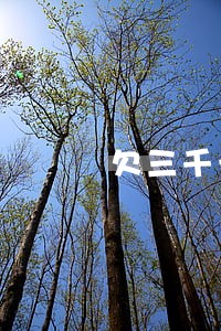 欠三千元逾期半个月还 欠三千元逾期半个月还