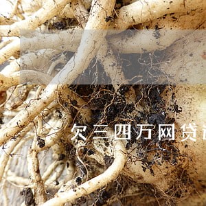 欠三四万网贷逾期会打爆通迅录 欠三四万网贷逾期会打爆通迅录