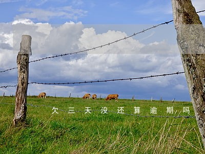 欠三天没还算逾期吗 欠三天没还算逾期吗