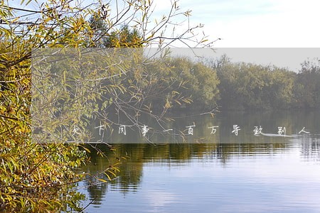 欠下同事一百万导致别人征信逾期 欠下同事一百万导致别人征信逾期