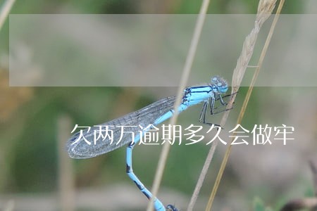 欠两万逾期多久会做牢 欠两万逾期多久会做牢