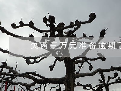 欠两三万元准备逾期了怎么办 欠两三万元准备逾期了怎么办