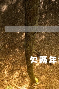欠两年钱逾期不接电话怎么处理 欠两年钱逾期不接电话怎么处理