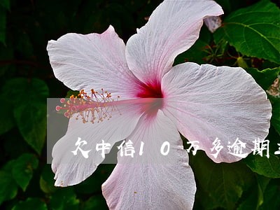 欠中信10万多逾期三个月 欠中信10万多逾期三个月